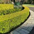 Acreage Mowing Hawkesbury | Reliable Large Property Mowing Services