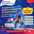 Holmes University Assignment Help: Crack Deadlines & Score High With Expert Support