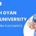 Suresh Gyan Vihar University Distance MBA Placements