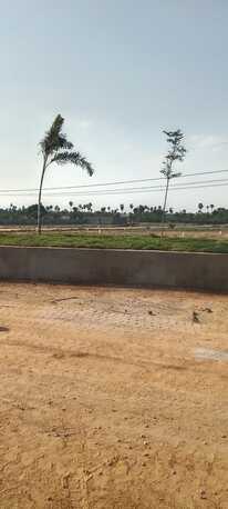Hyderabad, Residential Plots, INR 35000,  167 Sq. Yard,  Kongarakalan &ndash; Back Side Of Wonderla @FOXKONN CENTRAL PARK