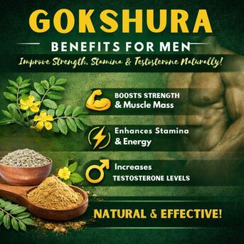 Haryana, Health & Beauty Items, INR 580,  Gokshura Benefits For Men | Improve Strength, Stamina And Testosterone Naturally