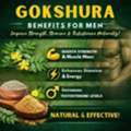 INR 580,  Gokshura Benefits For Men | Improve Strength, Stamina And Testosterone Naturally