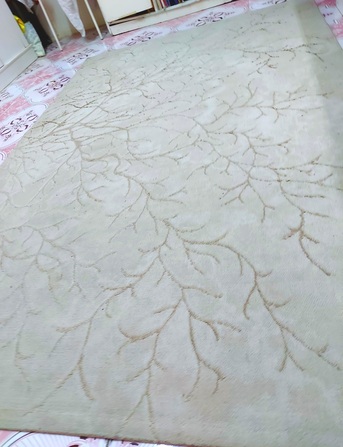 Jeddah, Household Items, SAR 125,  Carpets In Good Condition (2 Pcs.)