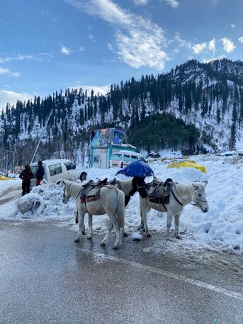 Mumbai, Travel, 3 Nights 4 Days Manali Tour Package