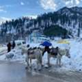 3 Nights 4 Days Manali Tour Package