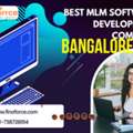 Bangalore-Based MLM Software Experts &ndash; FinoForce