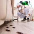 Cockroach Control Service Singapore