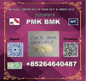 Hong Kong, Materials, CNY 100,  Factory P.MK CAS 28578-16-7 PM.K Ethyl Glycidate