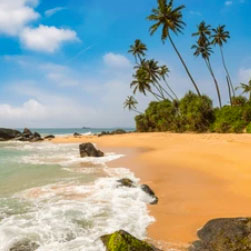 Kolkata, Travel, Exclusive Sri Lanka Package Tour From Kolkata