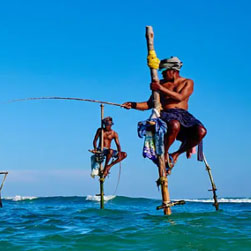 Kolkata, Travel, Exclusive Sri Lanka Package Tour From Kolkata