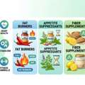 Best Supplements For Obesity Support: Safe Weight Loss Supplements That Actually Help