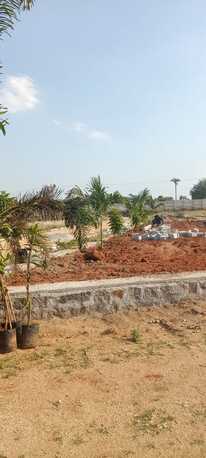 Hyderabad, Residential Plots, INR 35000,  1500 Sq. Yard,  HMDA RERA Approved Plots In Adibatla Near TCS