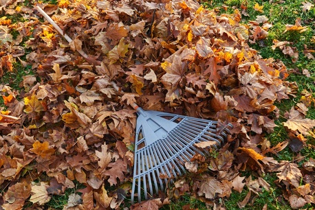 Manchester, Cleaning, Looking For Fast Garden Clearance Services In Manchester?