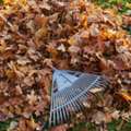 Looking For Fast Garden Clearance Services In Manchester?