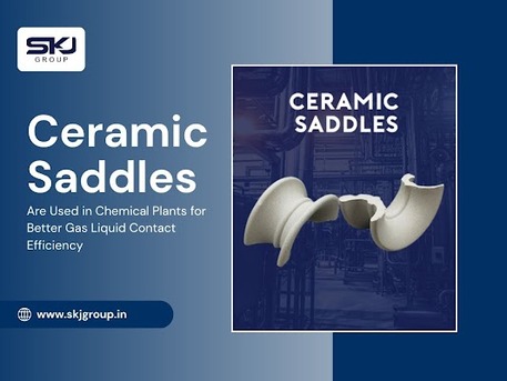 Bhopal, Business, Ceramic Saddles For Chemical Industry Use