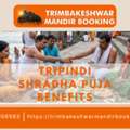 Benefits Of Kaal Sarp Puja And Tripindi Shradha Pooja At Trimbakeshwar