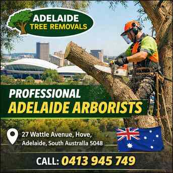 Sydney, Farm/Garden, Qualified Tree Care Specialists Offering Adelaide Arborists Services Across Local Suburbs