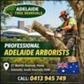 Qualified Tree Care Specialists Offering Adelaide Arborists Services Across Local Suburbs