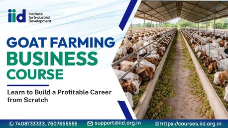 Lucknow, Farm/Garden, Goat Farming Business Plan | Best Goat Breeds & Startup Guide