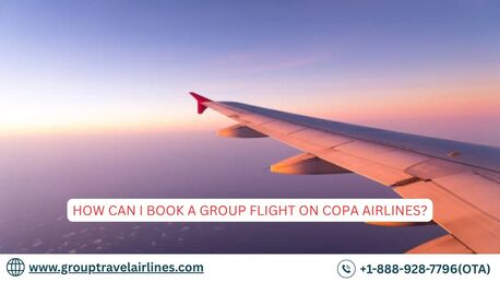 New York, Travel, How Can I Book A Group Flight On Copa Airlines?