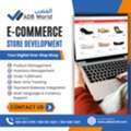 Professional E-Commerce Website Development To Maximize Online Sales