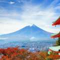 Choose The Best Japan Tour Packages From Delhi
