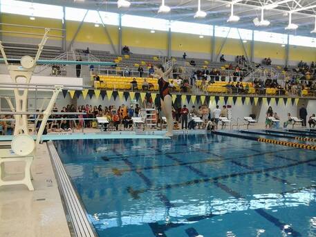 New York, Construction, Aquatic Facility Management Company