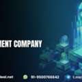 Turn Your Idea Into Millions &ndash; ICO Development ????