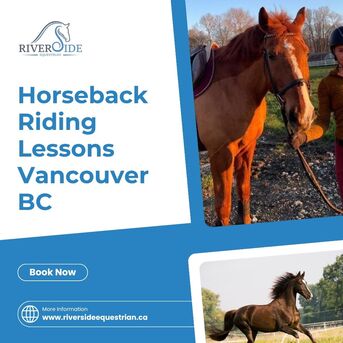 Toronto, Business, Experience The Joy Of Riding &ndash; Horseback Riding BC Canada