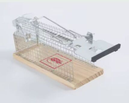 London, Appliances, GBP 14,  Buy Mouse Traps For Sale In Bangor At Best Prices