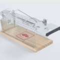 GBP 14,  Buy Mouse Traps For Sale In Bangor At Best Prices