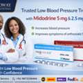 PHP 100, Leading Midodrine 5 Mg B2B Exporter In Philippines - Oddway