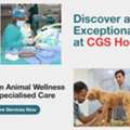 Emergency Veterinary Hospital In Gurgaon  | CGS Hospital