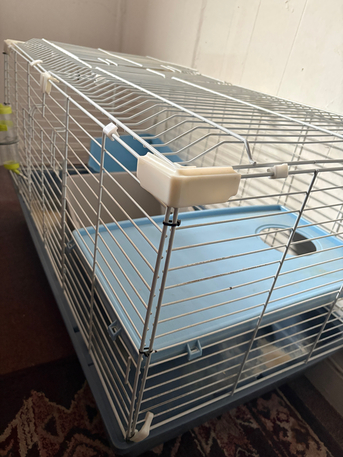 Ras Tanura, Pet Supplies, SAR 150,  PET ( RABBIT OR CAT) CAGE AND ACCESSORIES