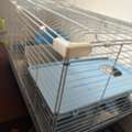 SAR 150,  PET ( RABBIT OR CAT) CAGE AND ACCESSORIES