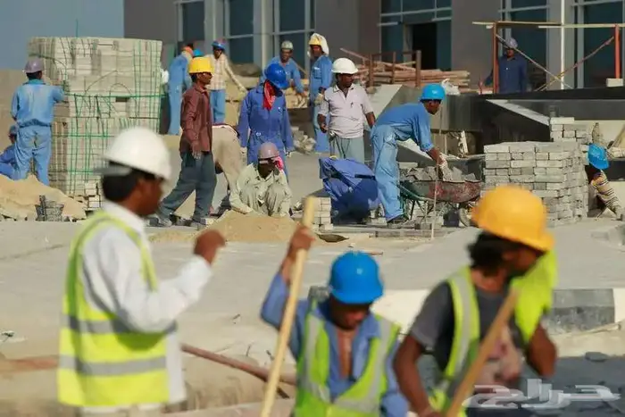 Riyadh, Manpower, Available Manpower Single Sponsor And Multi-Sponsor For Direct Client