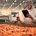 Secure Skilled Food Processing Staff Fast &ndash; Apply Now