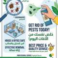BEDBUGS SOLUTION Pest Control Service @ BEST Price 0557855145
