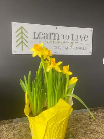 New York, Health, Find Support This Spring: A Season Of Healing And New Beginnings