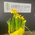 Find Support This Spring: A Season Of Healing And New Beginnings