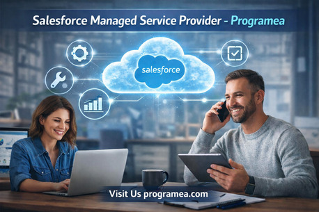 Houston, Business, Salesforce Managed Service Provider - Programea