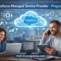 Salesforce Managed Service Provider - Programea