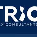 International Tax Made Simple &ndash; Trio Tax