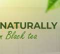 Buy Lemon Black Tea Online In India &ndash; Why Choose Cuppanord Lemon Black Tea Bags For A Refr