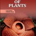 Wonders Of Plants Book &ndash; By Vijai Malik And Pranita Malik