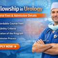 Fellowship In Urology: Course Fees & Admission Details