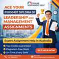 Best Assignment Help For Diploma Of Leadership And Management In Australia