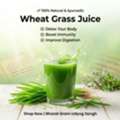 INR 560,  Buy Wheat Grass Juice Online In India | Bharat Gram Udyog Sangh