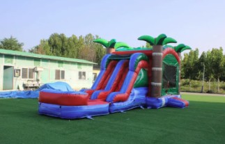 New York, Business, Wet Bounce House For Summer Events