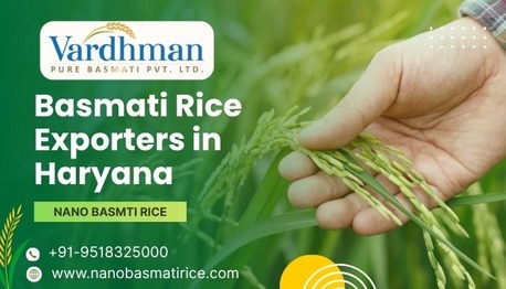 Mumbai, Food, Basmati Rice Exporters In Haryana